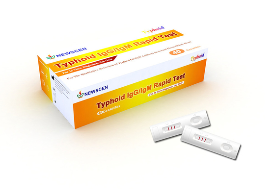 Un essai rapide typhoïde diagnostique in vitro à la maison d'IgG IgM d'étape